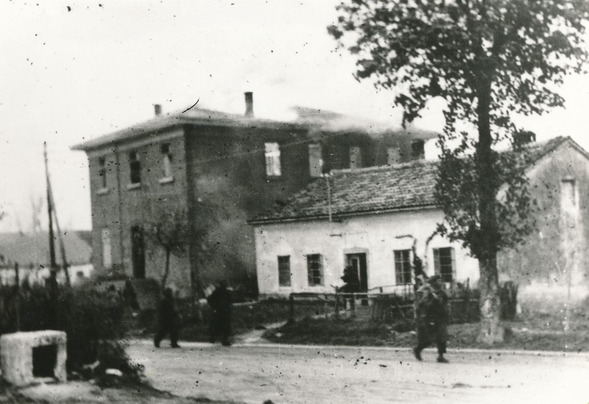 eika image